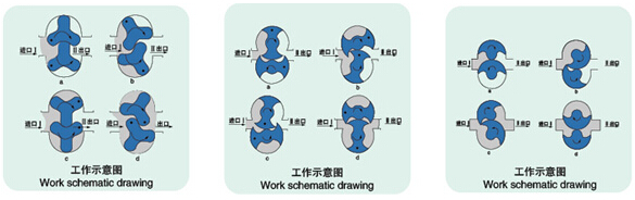 LQ系列衛(wèi)生級凸輪轉(zhuǎn)子泵結構圖