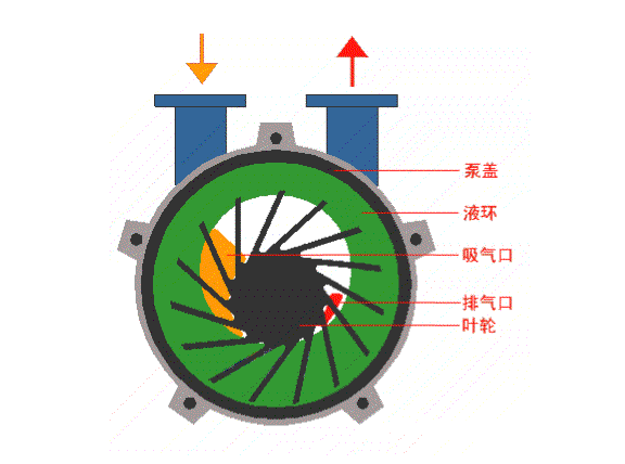 水環(huán)式真空泵的工作原理結構圖